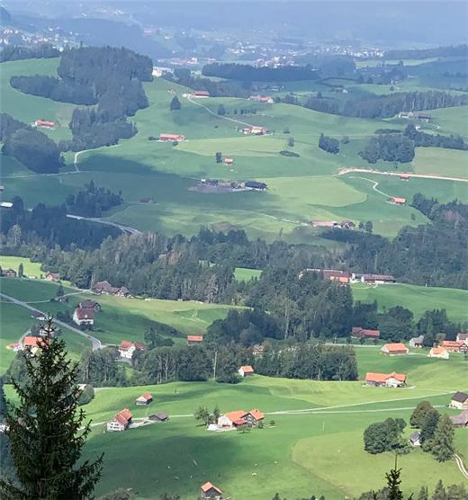 国学经典宋词【宴山亭 北行见杏花】原文及解析