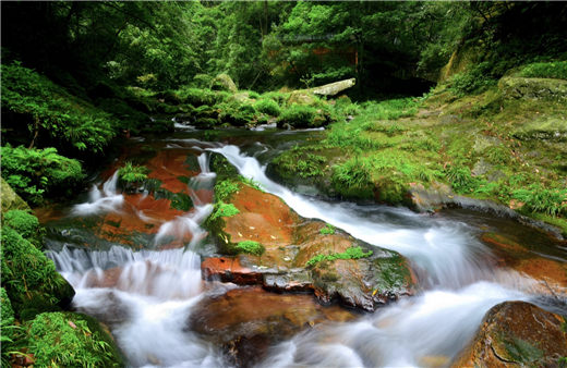 水垢的两面性、矿物质的作用及水里的微观世界