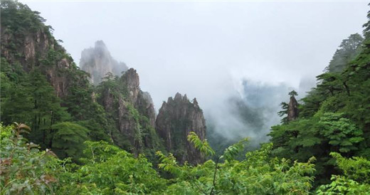 为什么烧开水的水垢再烧几次纯净水后水垢会掉一大半？