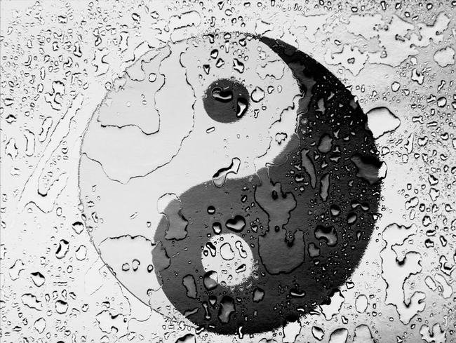 2022年生肖属【鼠】的运势&#038;风水布局旺运攻略