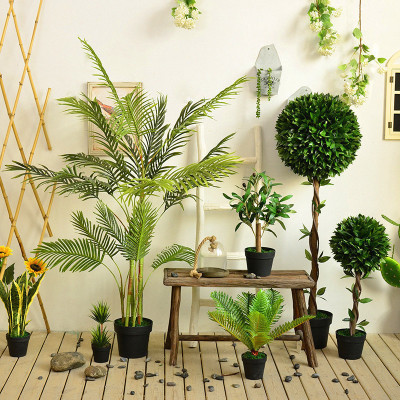 居家风水聚财窍门