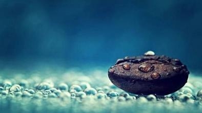 玄武在六爻中的运用