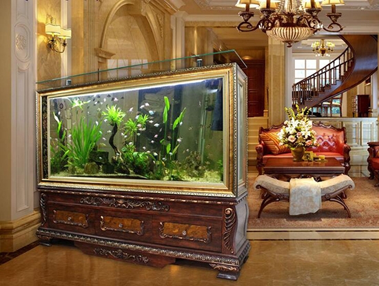 家居风水鱼缸摆放禁忌有哪些？