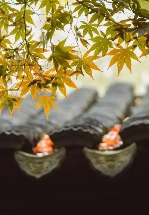 阳宅风水气的吉凶