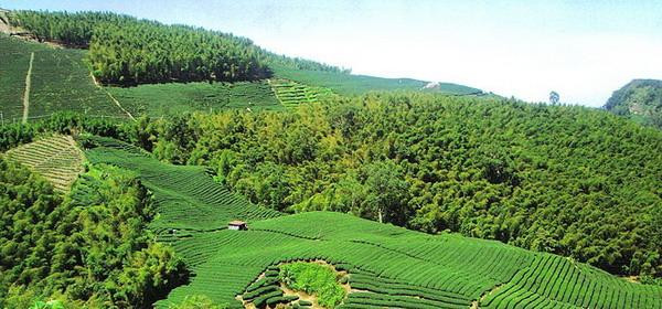 国学经典宋词【柳梢青】原文及解析